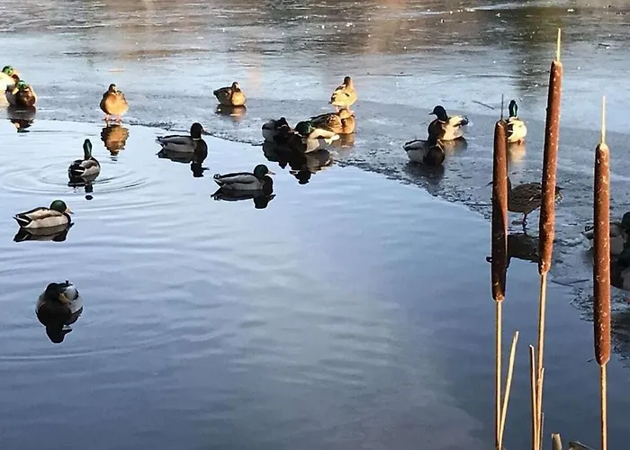 Koehnke 4 Comfortable Hébergement de vacances